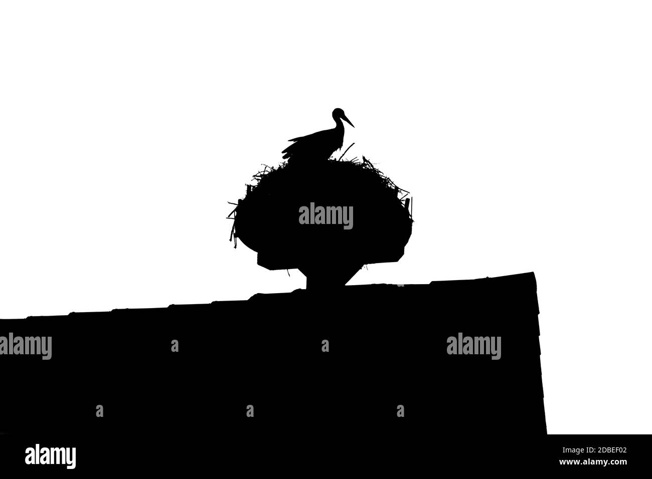 Silhouette des ländlichen Tier. Der Vogel auf dem Dach ist auch Metapher und Symbol für die Geburt von Neugeborenen. Gefährdete Tierarten. Stockfoto
