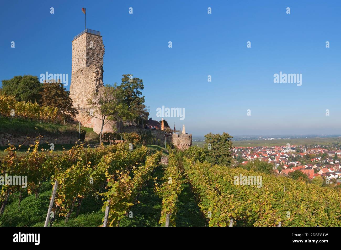 Geographie / Reisen, Deutschland, Rheinland-Pfalz, Wachenheim an der Weinstraße, Schloss Wachtenburg nach oben, Additional-Rights-Clearance-Info-not-available Stockfoto