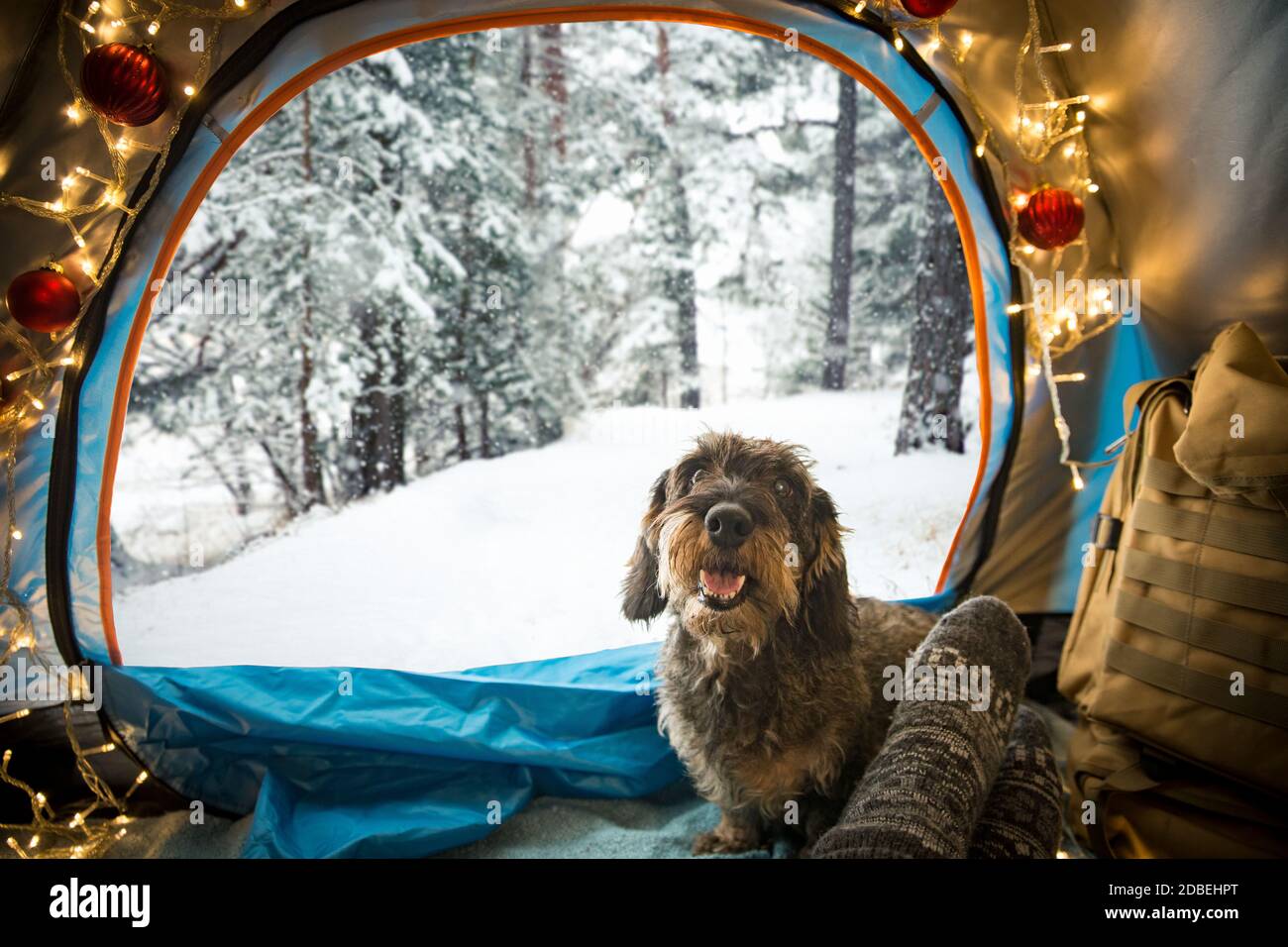 Ein Mann, der in einem mit Weihnachtslichtern geschmückten Zelt liegt und warme Holzsocken trägt. Schöner Winter wilden Wald mit Schnee bedeckt. Selbstisolierung Stockfoto
