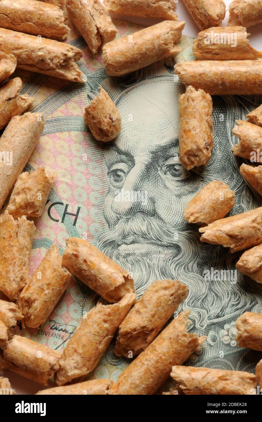 Nahaufnahme von Holzpellets Stockfoto