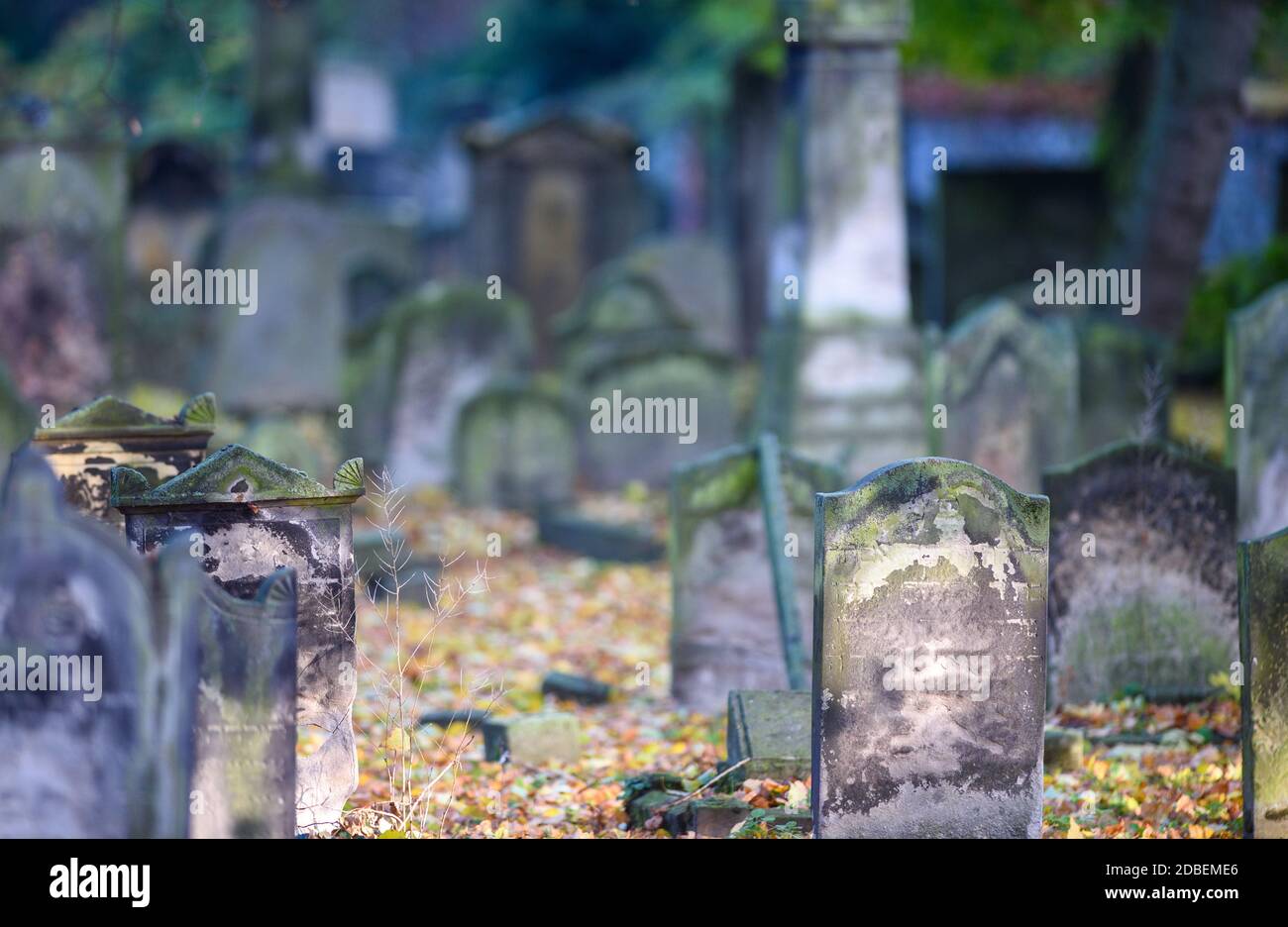 Magdeburg, Deutschland. November 2020. Verwitterte Grabsteine auf dem jüdischen Friedhof. Quelle: Klaus-Dietmar Gabbert/dpa-Zentralbild/ZB/dpa/Alamy Live News Stockfoto