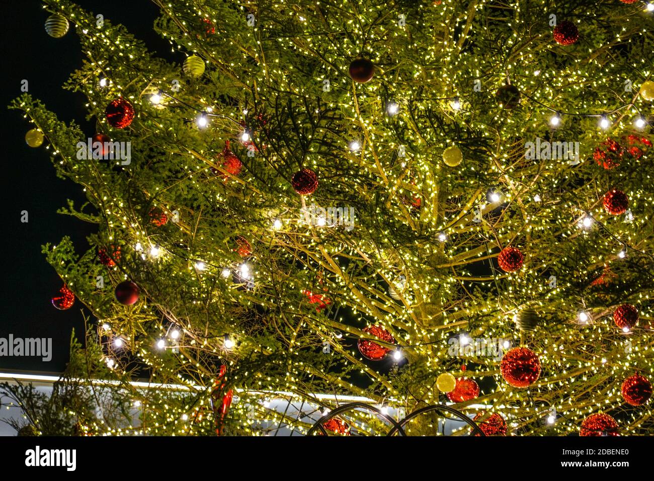 Glänzender Weihnachtsbaum (Weihnachtsmarkt). Drehort: Yokohama-Stadt  kanagawa Präfektur Stockfotografie - Alamy