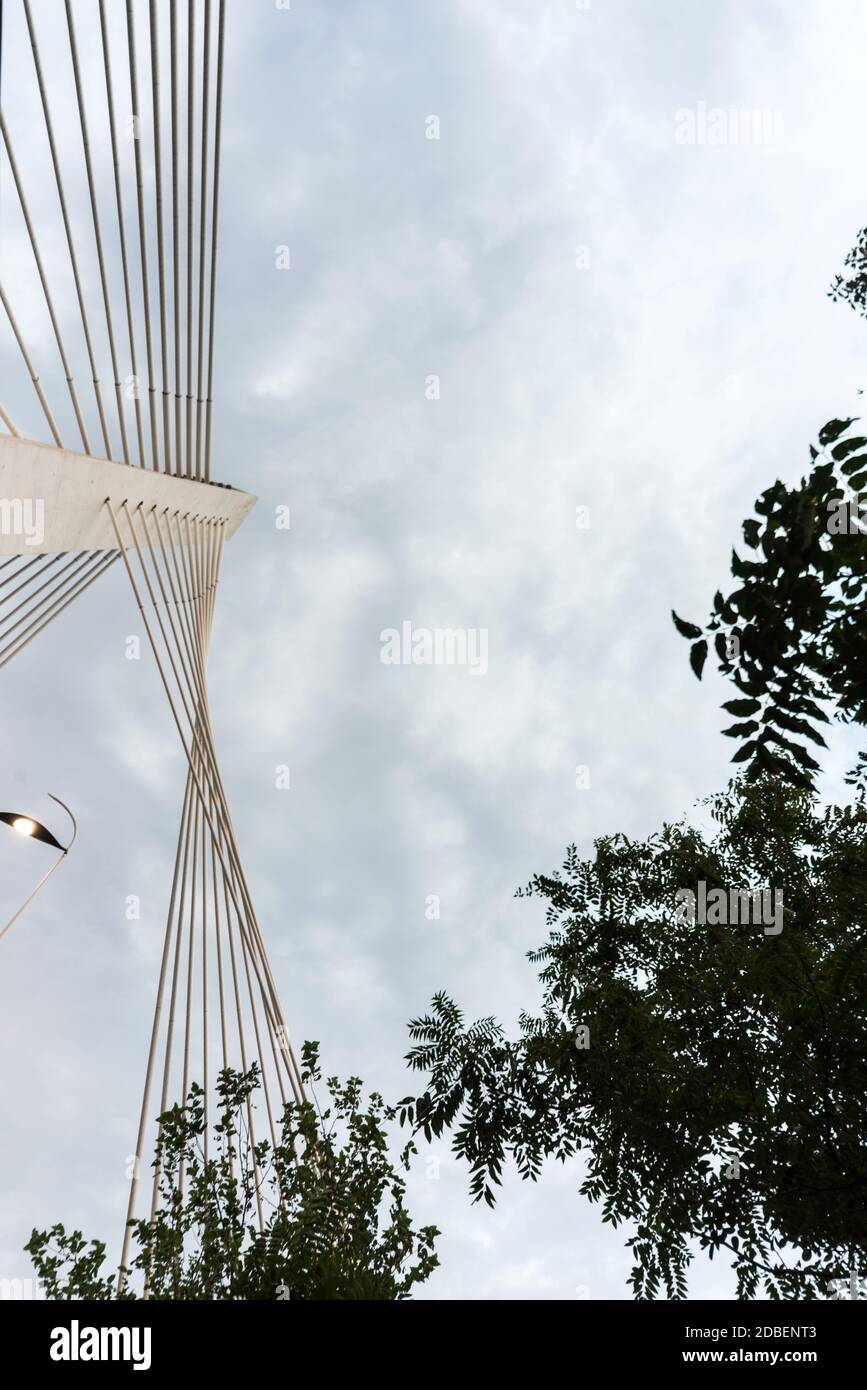 Vertikal von unten betrachtet, unter umlaufenden Bäumen mit Wolken dahinter Dusk, ein beeindruckendes modernes Design mit zwölf Kabeln, die unterstützen Stockfoto