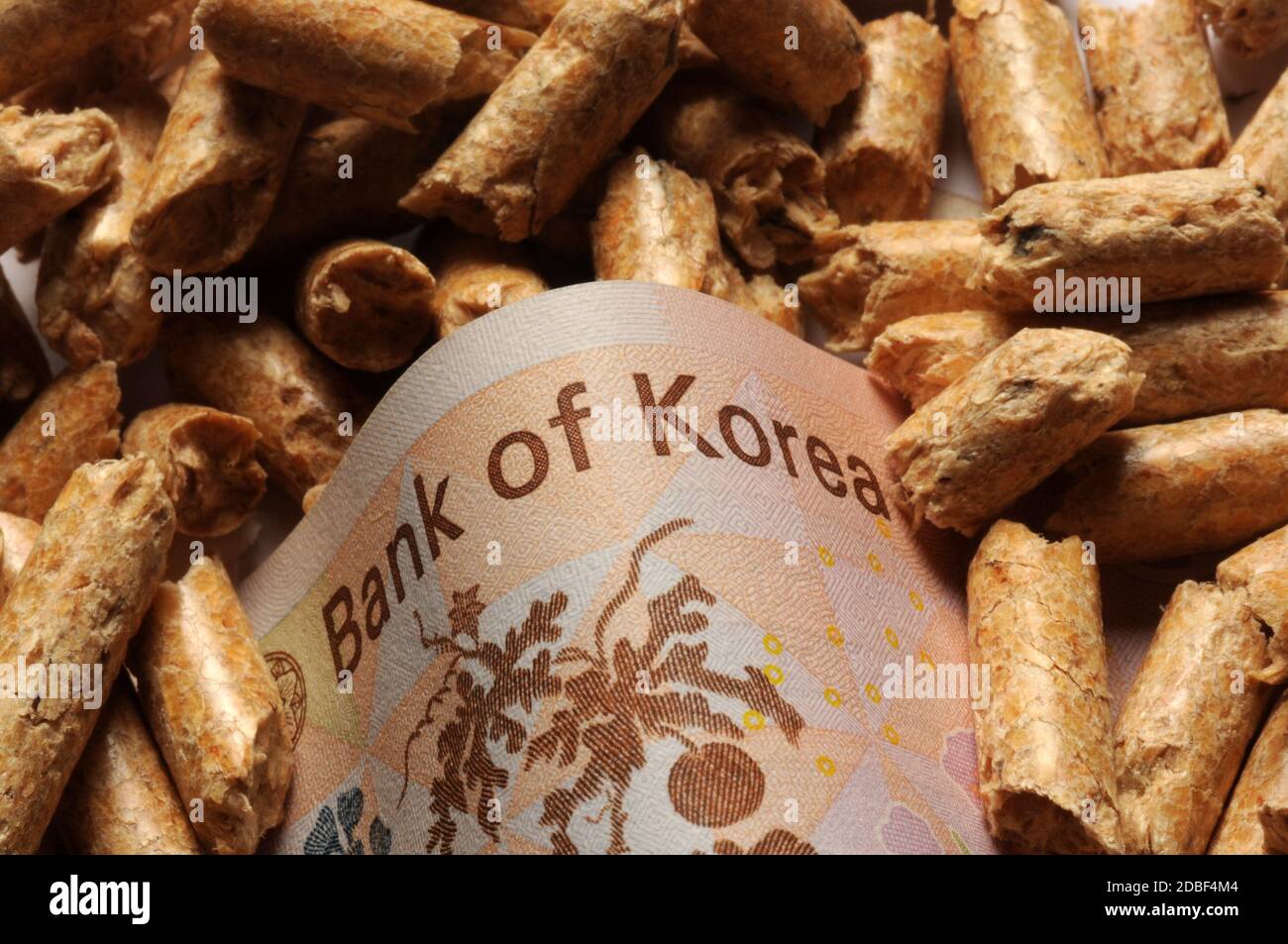 Nahaufnahme des koreanischen Wons auf Holzpellets Stockfoto
