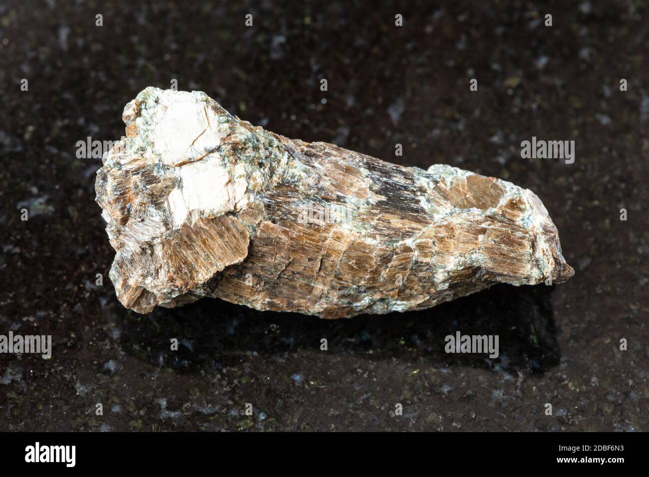 Nahaufnahme der Probe von natürlichen Mineralien aus geologischer Sammlung - ungepolierten Bronzit (Enstatit) Gestein auf schwarzem Granit Hintergrund aus Rai-Iz Massiv, Stockfoto