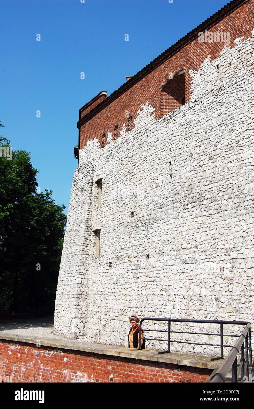 Burgmauer am Schloss Wawel, in Krakau, Polen Stockfoto