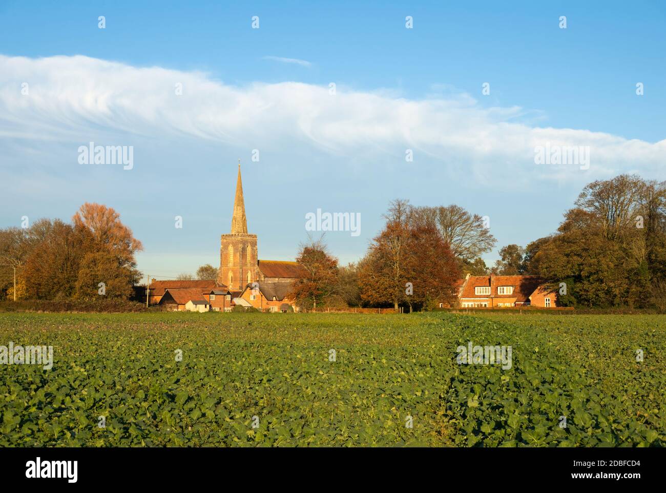 Blick vom öffentlichen Fußweg über Feld zum Dorf Peasemore und St. Barnabas Kirche, Peasemore, West Berkshire, England, Großbritannien, Europa Stockfoto
