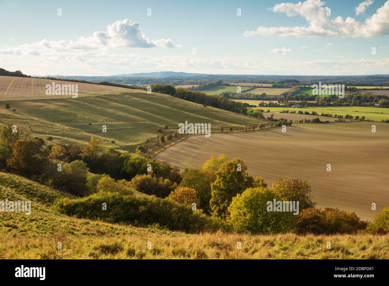 Ackerland und Böschung unter dem Dorf Buttermere im Norden Wessex Downs AONB, Wiltshire, England, Großbritannien, Europa Stockfoto