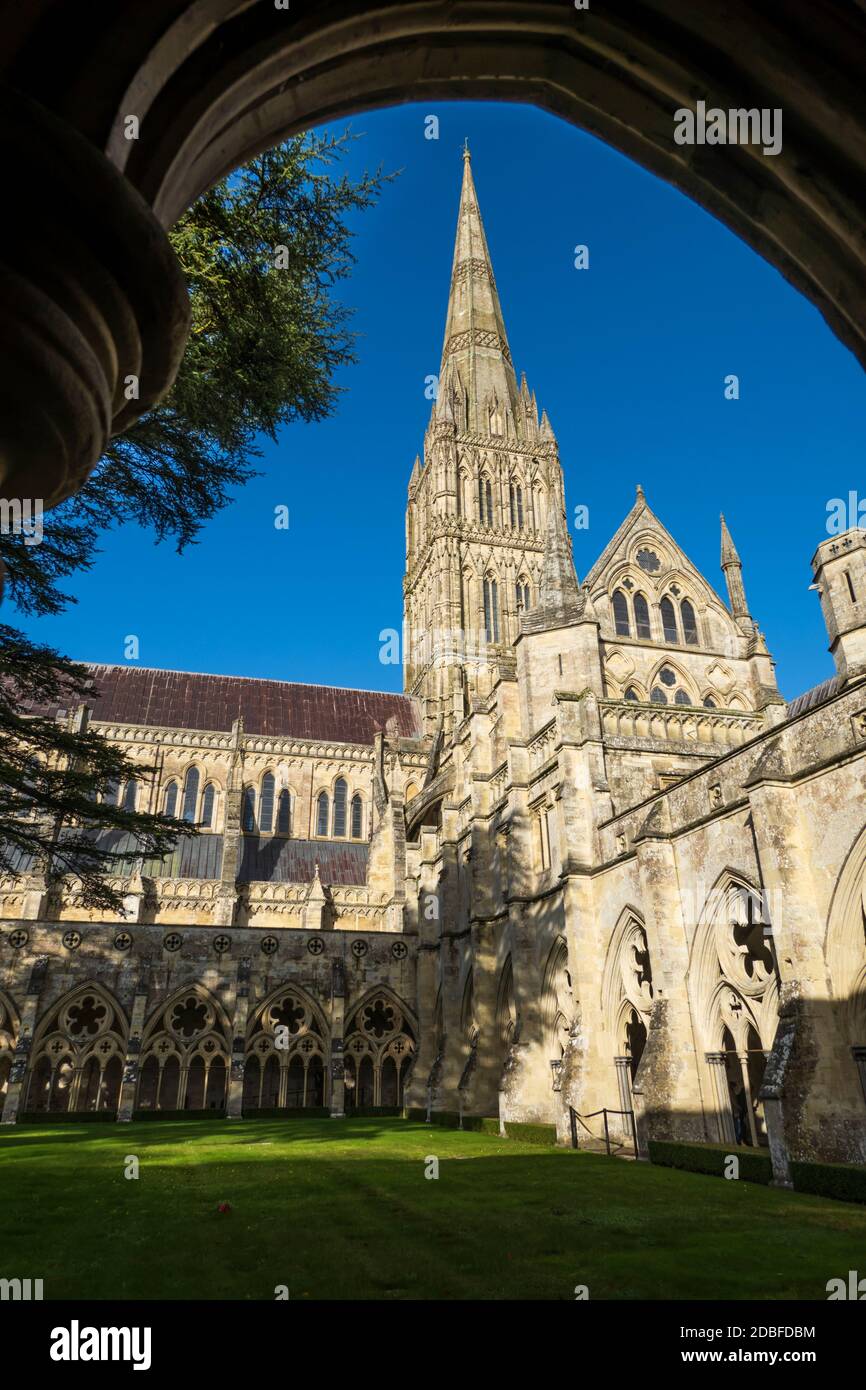 Kloster und Turm der Kathedrale von Salisbury, Salisbury, Wiltshire, England, Großbritannien, Europa Stockfoto