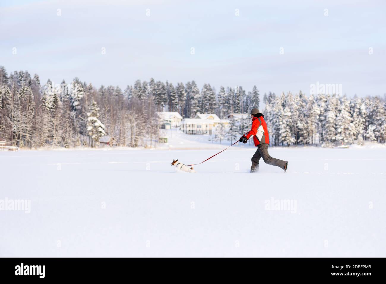 Running man Walking Hund hat Spaß im Freien auf Schnee auf Heller Wintertag Stockfoto