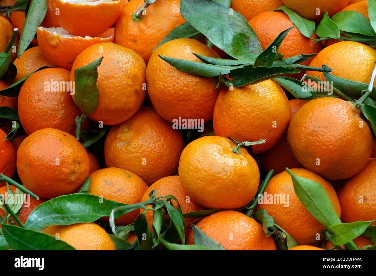 Orangen Stockfoto