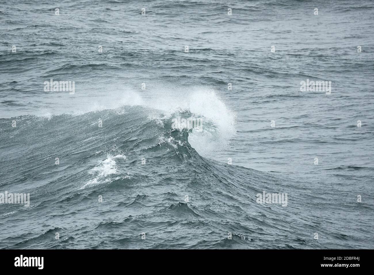Extrem starke Wellen im Wind, stürmische Böe Stockfoto