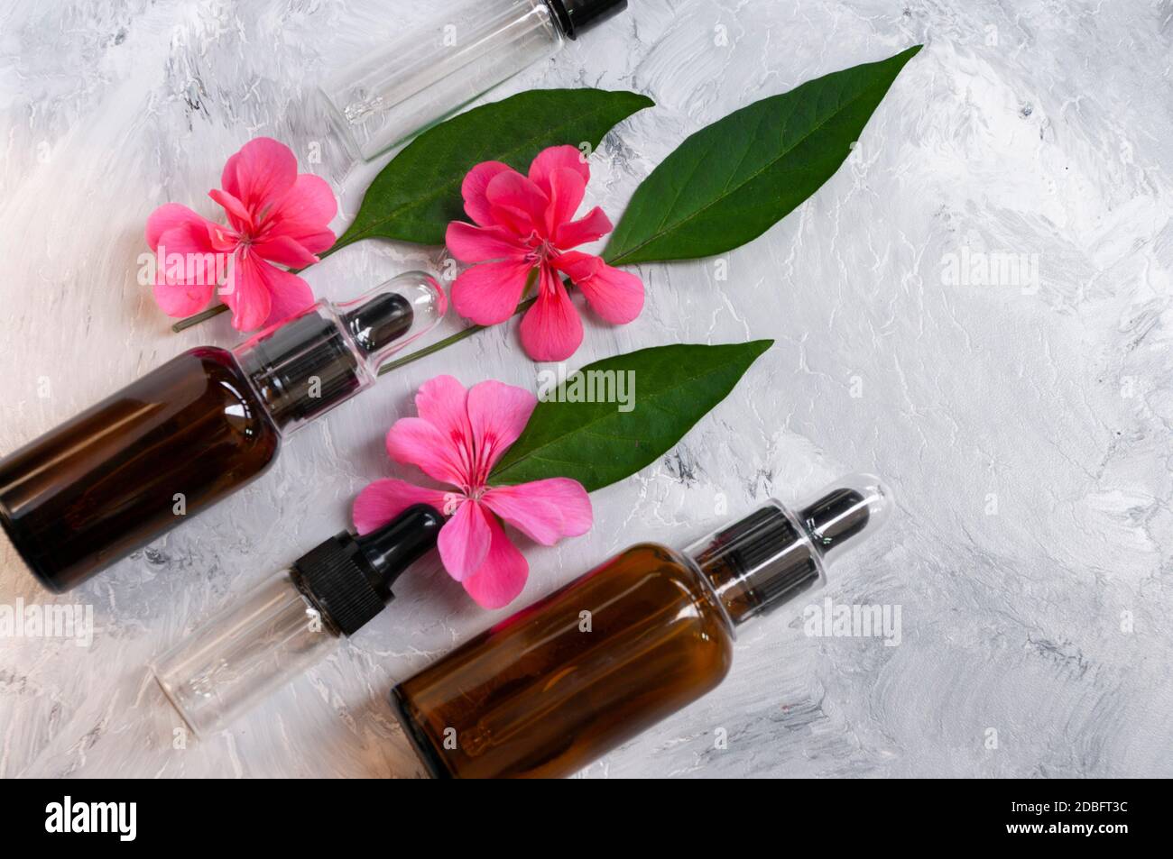 Flache Lay-Zusammensetzung mit kosmetischen Serum-Flaschen, Glastropfer. Beauty-Produkt.Kopieren Raum für Text. Stockfoto