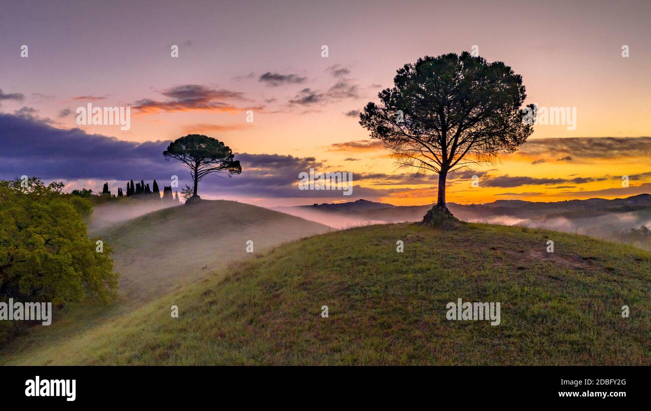 Traumhafte Landschaft mit sanften Hügeln, Zypressen und Morgennebel bei Sonnenaufgang in der Toskana, Italien, April. Stockfoto