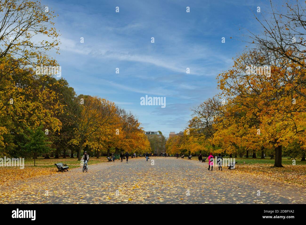 Kensington Gardens breite Allee im Herbst. Stockfoto