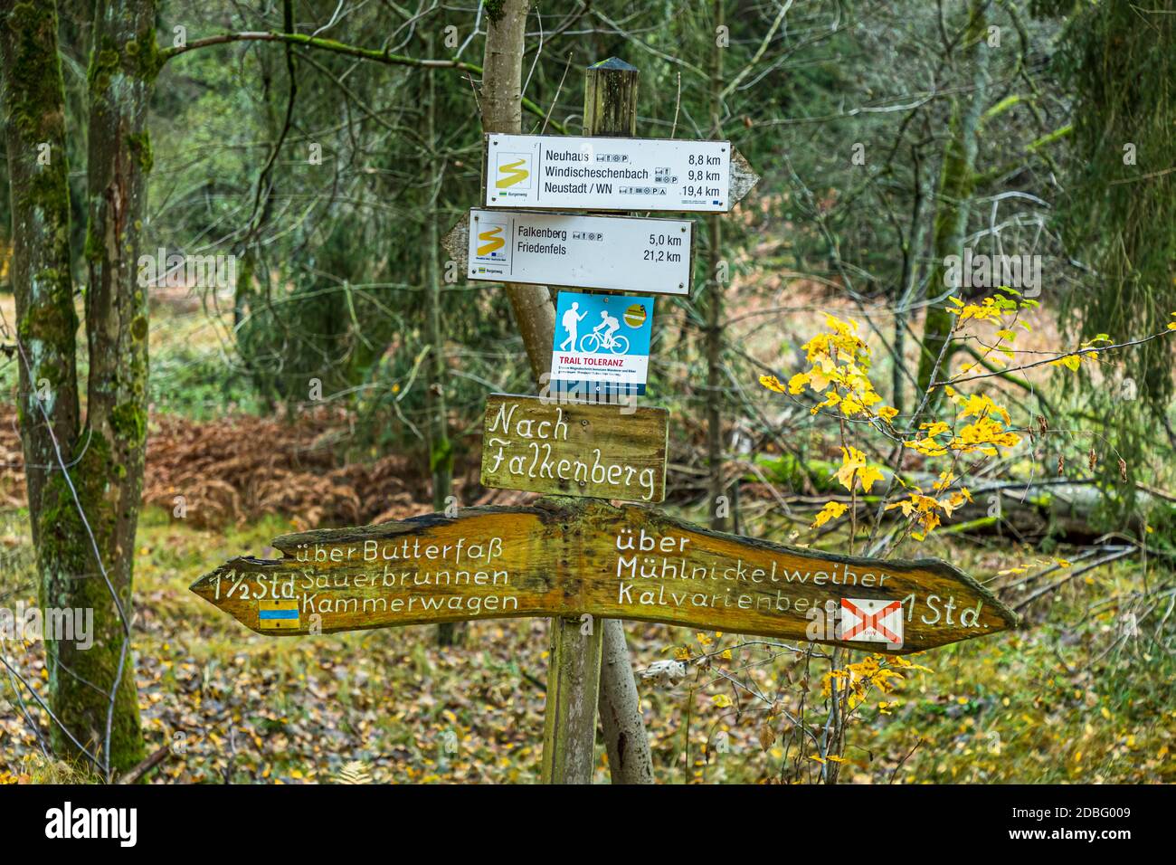 Outdoor Recreation in der Nähe von Falkenberg, Bayern, Deutschland. Märchenhafte Landschaft entlang des Waldnaab. Einer der schönsten Abschnitte im Waldnaabtal beginnt in Falkenberg Stockfoto