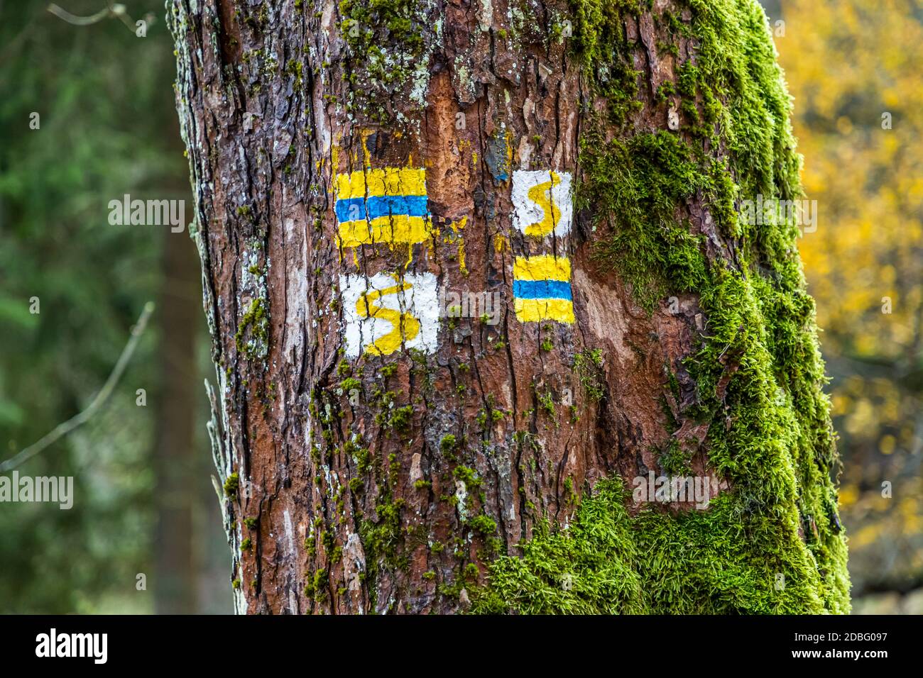 Outdoor Recreation in der Nähe von Falkenberg, Bayern, Deutschland Stockfoto