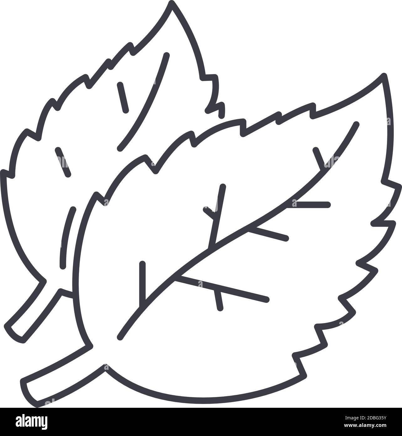 Cofee Bean Pflanzen Symbol, lineare isolierte Illustration, dünne Linie