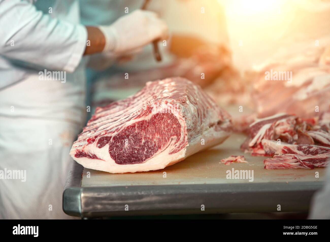Metzger schneiden Wagyu Rindfleisch in der Slaughterhouse Stockfoto