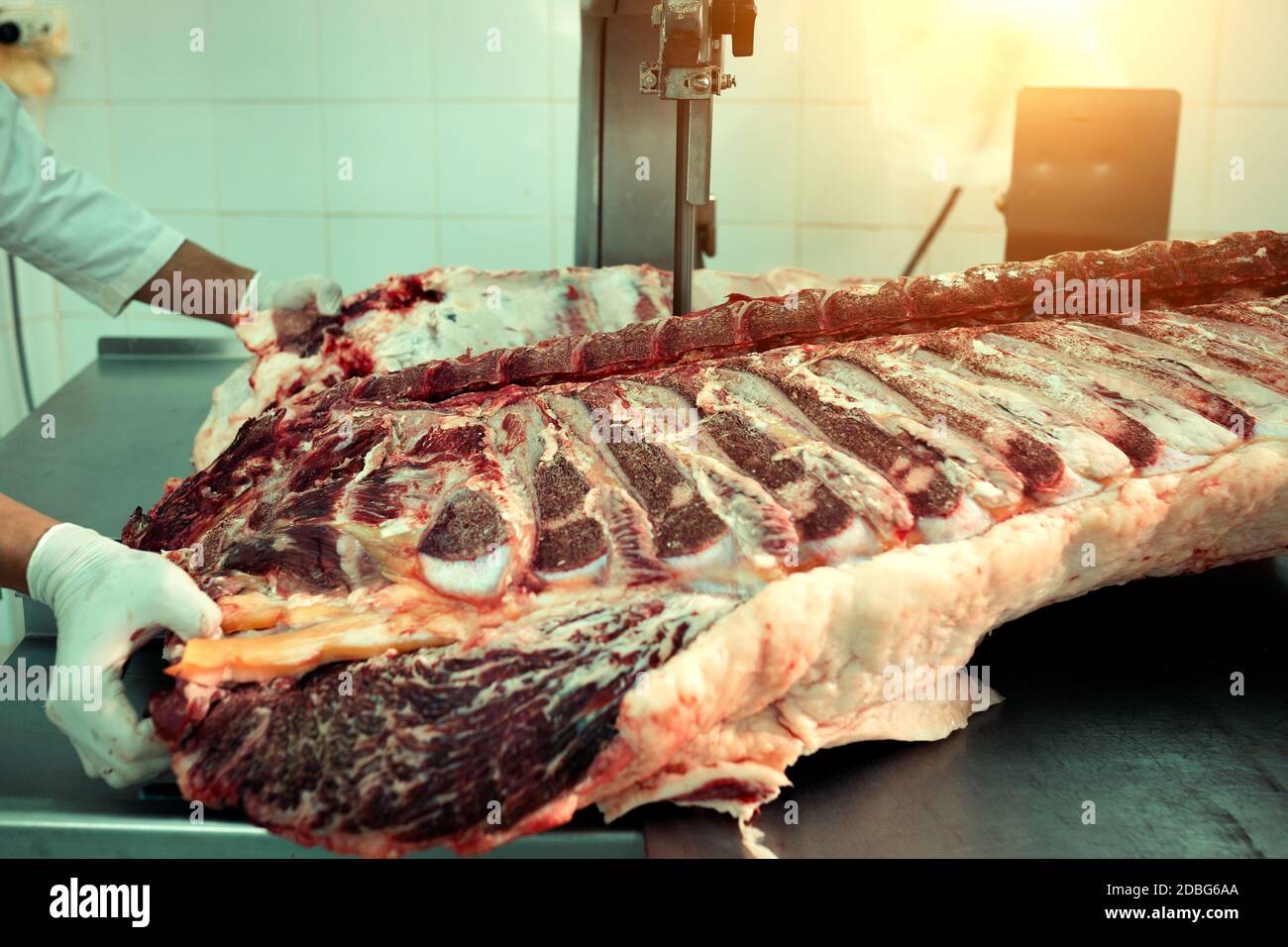 Schneiden von Wagyu Rindfleisch in den Prozess von Metzger im Schlachthof Stockfoto