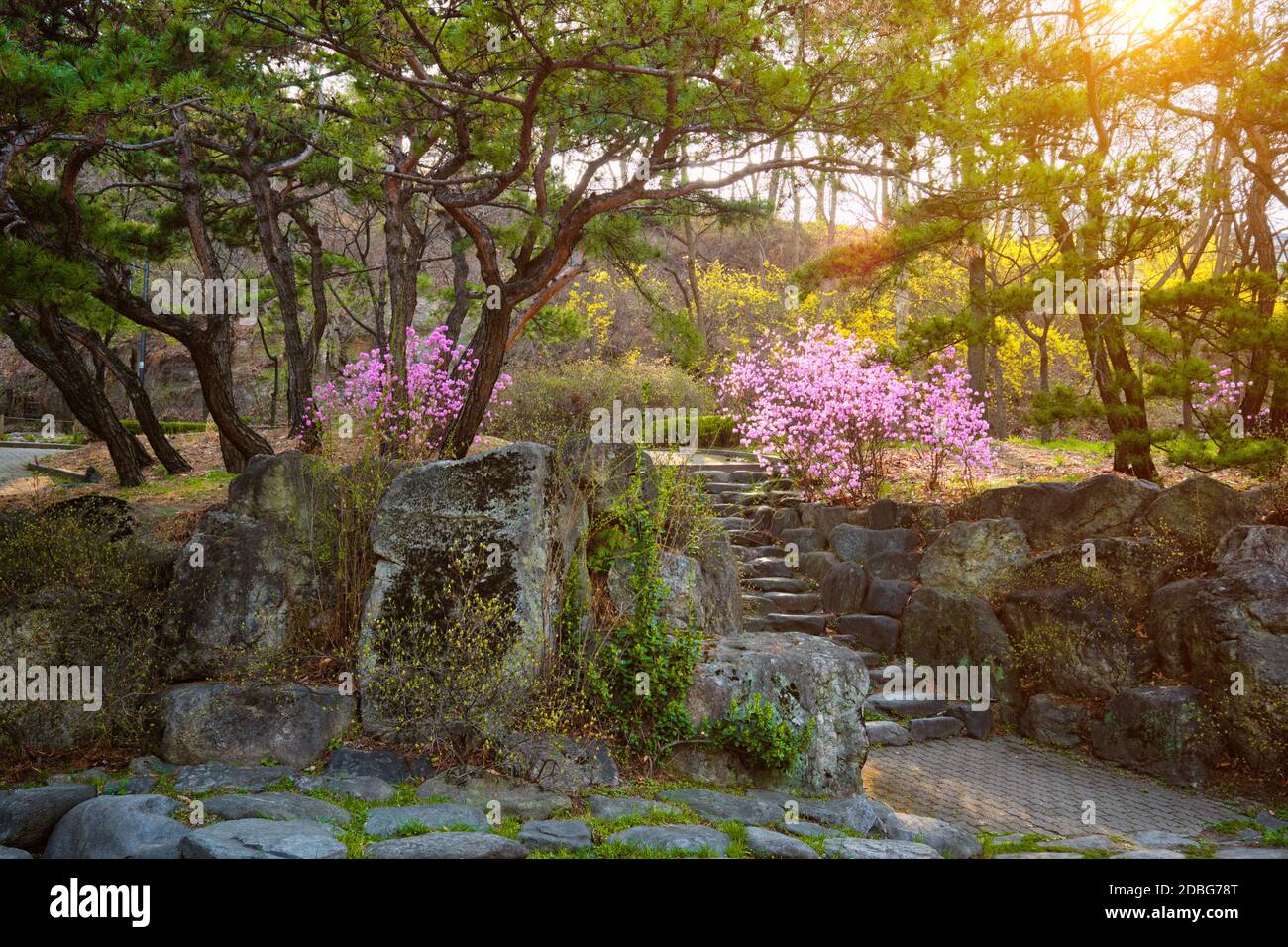 Park in der Nähe der Namsan Seoul Tower auf den Sonnenuntergang. Seoul, Südkorea Stockfoto