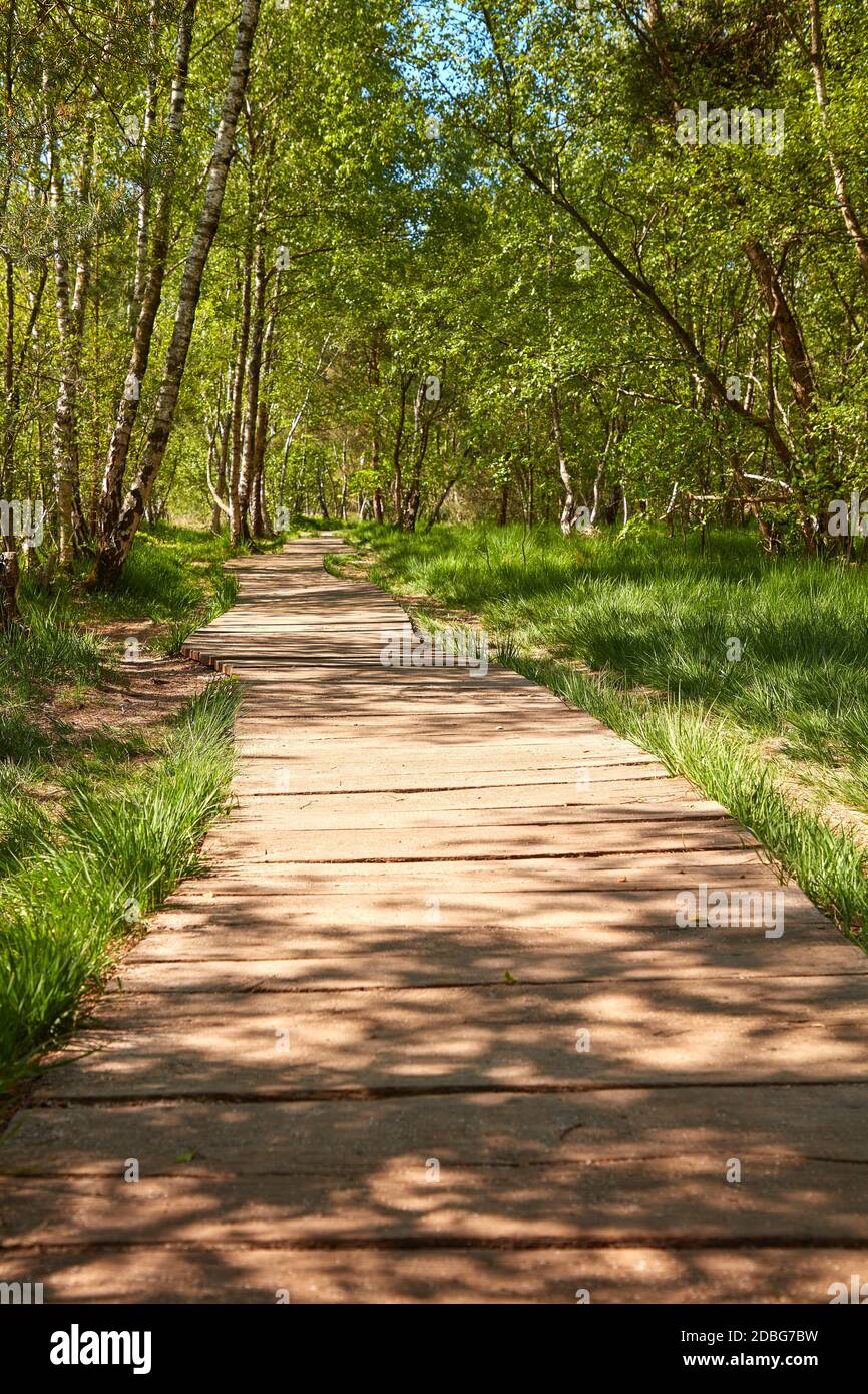 Weg durch ein Moor Stockfoto