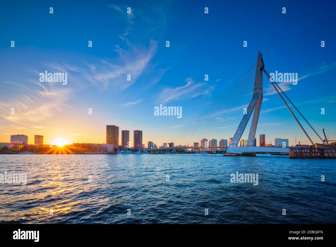 Erasmus Brücke (erasmusbrug) und Rotterdam Skyline Sonnenuntergang über die Nieuwe Maas. Rotterdam, Niederlande Stockfoto