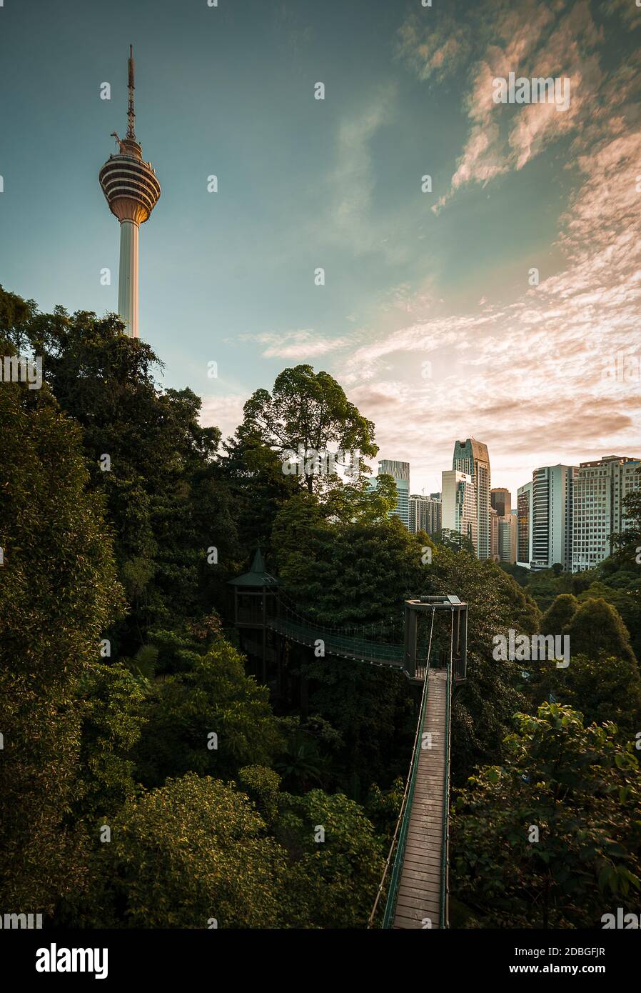 Kuala Lumpur Eco Forest Park mit Blick auf den KL Tower Stockfoto