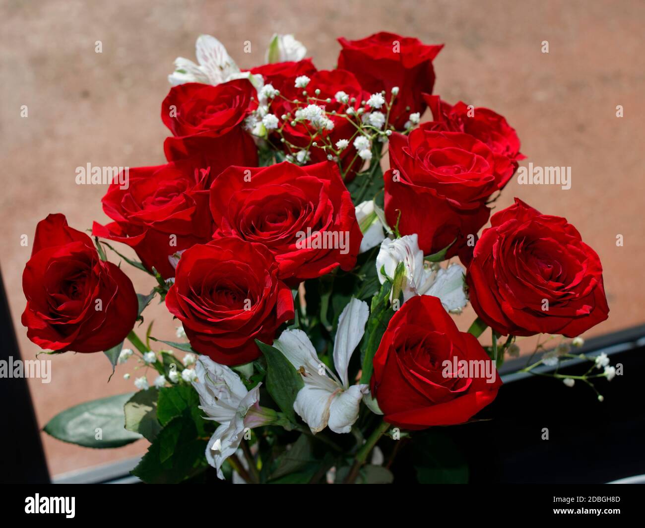 Frischer roter Rosenstrauß mit Babyluft und weißen Geranienblüten vor einer sonnigen Glastür. Auf dem Boden vor einer sonnigen Glastür pret Stockfoto