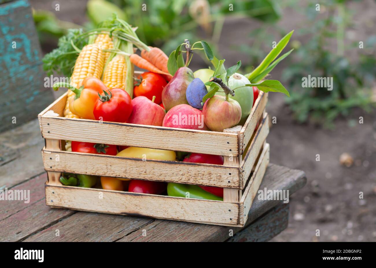Holzkiste mit Bio-Gemüse und Obst auf rustikalem Tisch im Freien. Eco Food-Konzept Stockfotografie
