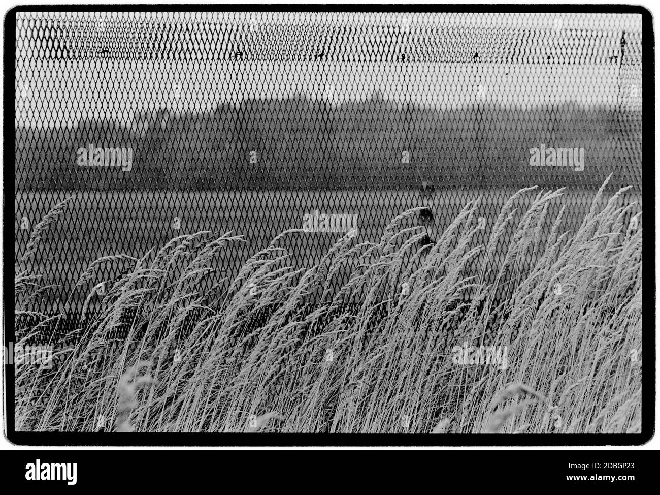 Ostdeutschland 1990 scannte 2020 die Überreste der Mauer bei Hanum an der Grenze zwischen Ost- und Westdeutschland. Hanum ist ein Dorf und eine ehemalige Gemeinde im Landkreis Altmarkkreis Salzwedel, in Sachsen-Anhalt, Deutschland. Seit dem 1. Januar 2010 ist es ein Teil der Gemeinde Jübar Ostdeutschland, Deutsche Demokratische Republik DDR nach dem Mauerfall, aber vor der Wiedervereinigung März 1990 und gescannt im Jahr 2020.Ostdeutschland, offiziell die Deutsche Demokratische Republik, war ein Land, das von 1949 bis 1990 existierte, Die Zeit, als der östliche Teil Deutschlands Teil von t war Stockfoto