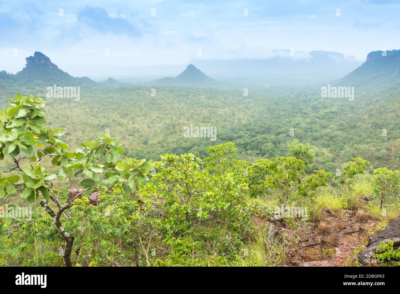 Chapada das Mesas in Maranhão Brasilien. Stockfoto