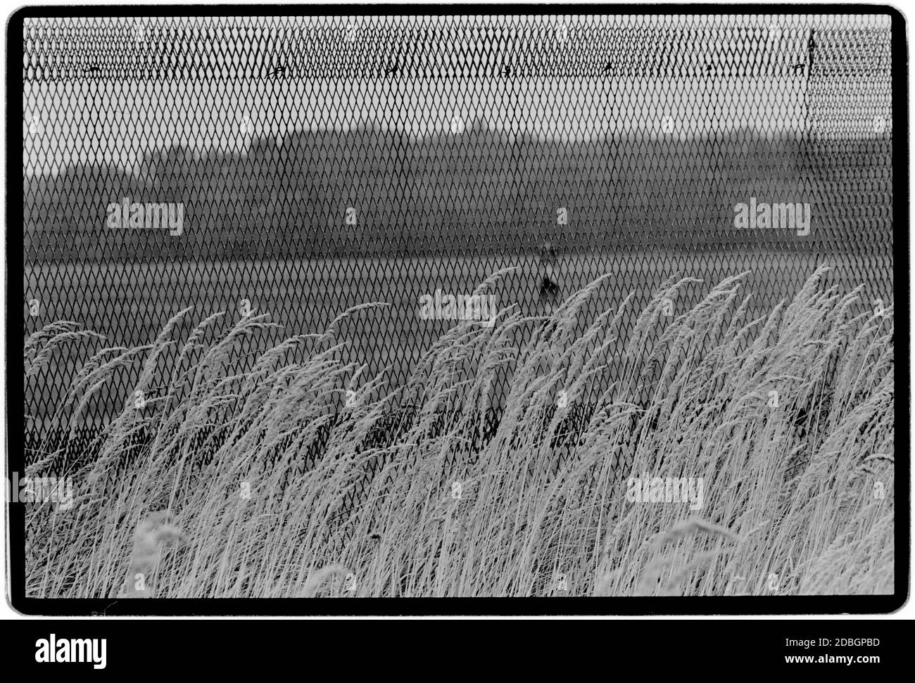 Ostdeutschland 1990 scannte 2020 die Überreste der Mauer bei Hanum an der Grenze zwischen Ost- und Westdeutschland. Hanum ist ein Dorf und eine ehemalige Gemeinde im Landkreis Altmarkkreis Salzwedel, in Sachsen-Anhalt, Deutschland. Seit dem 1. Januar 2010 ist es ein Teil der Gemeinde Jübar Ostdeutschland, Deutsche Demokratische Republik DDR nach dem Mauerfall, aber vor der Wiedervereinigung März 1990 und gescannt im Jahr 2020.Ostdeutschland, offiziell die Deutsche Demokratische Republik, war ein Land, das von 1949 bis 1990 existierte, Die Zeit, als der östliche Teil Deutschlands Teil von t war Stockfoto