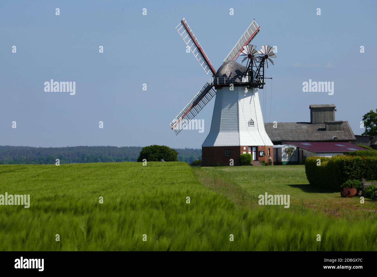 Windmühle in Eyendorf Stockfoto