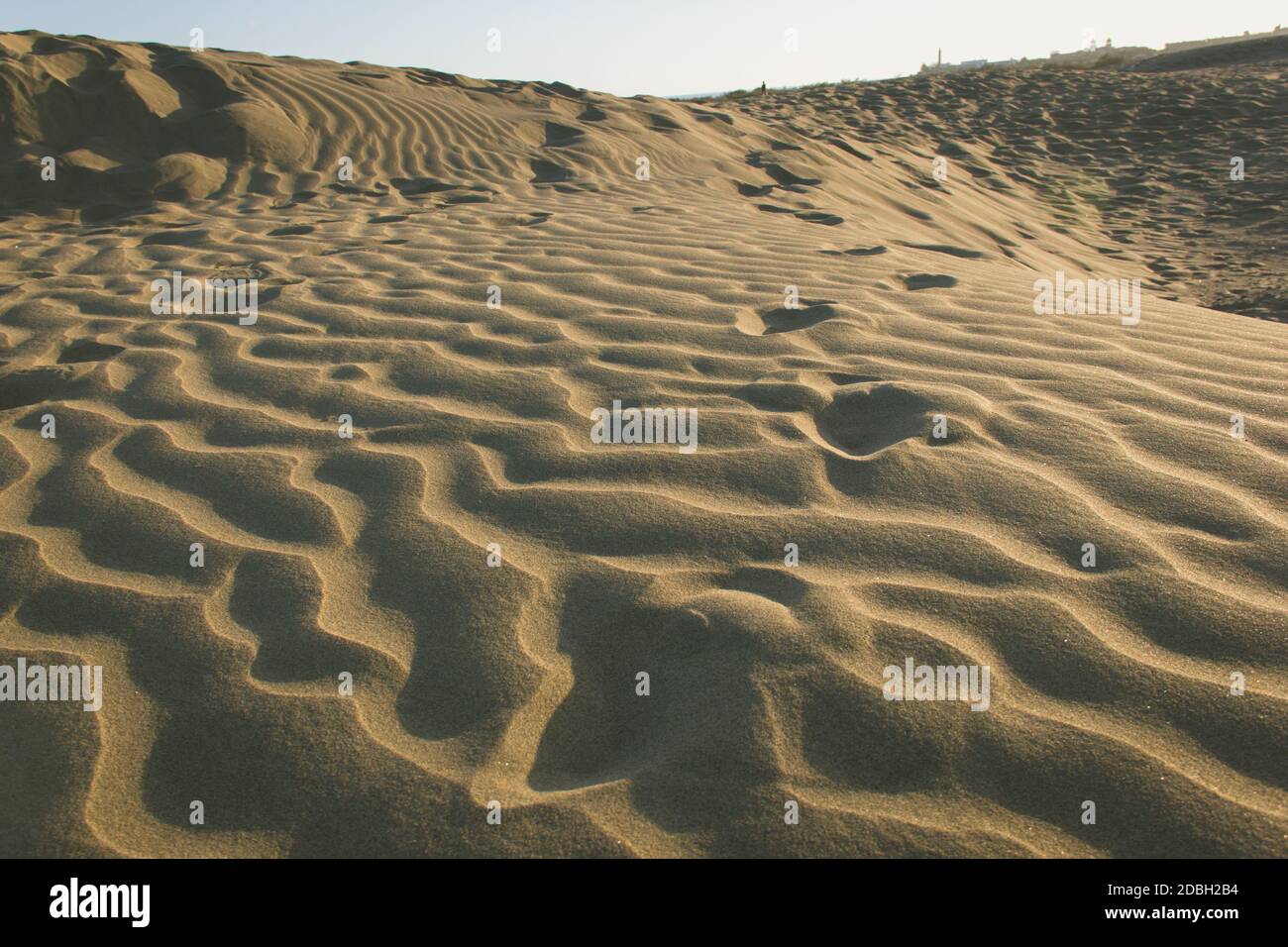 Wellenmuster von Maspalomas Sanddünen bei Sonnenuntergang. Trockene Wüstenlinien Formen Hügel in der Dämmerung. Herausforderung, Abenteuer erkunden, Durst Konzept Stockfoto