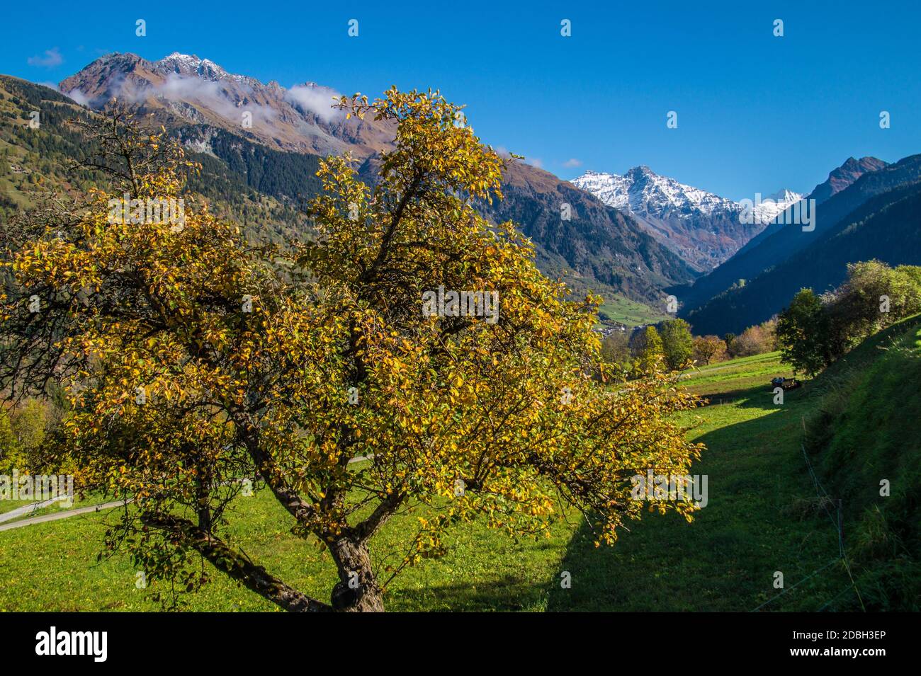 Brusson im Wallis in der Schweiz Stockfoto