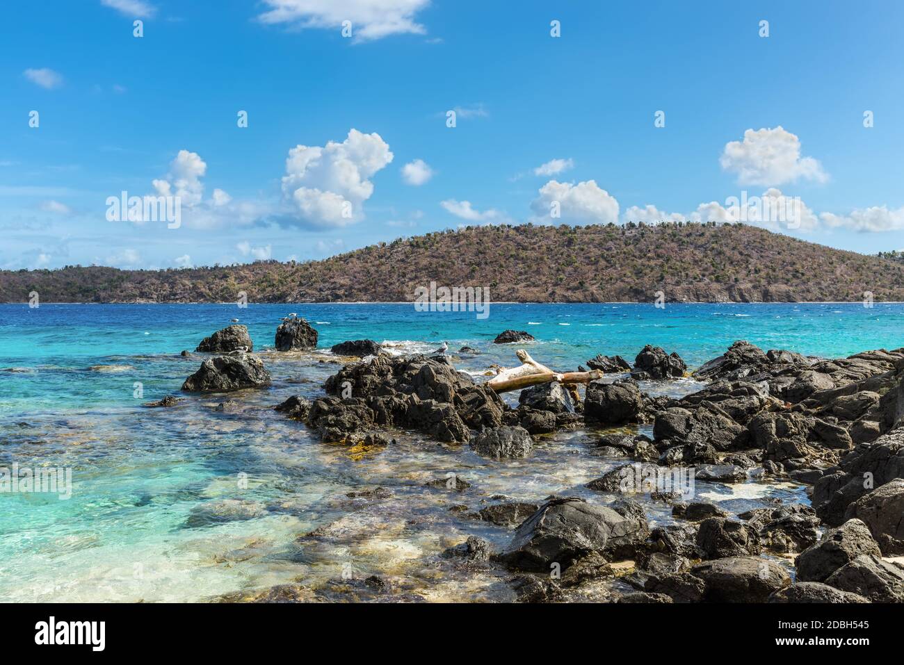 Seascape mit einer felsigen Küste des Coki Point Bech im Vordergrund und der Thatch Cay Insel im Hintergrund - St Thomas, US Virgin Islands, Cari Stockfoto