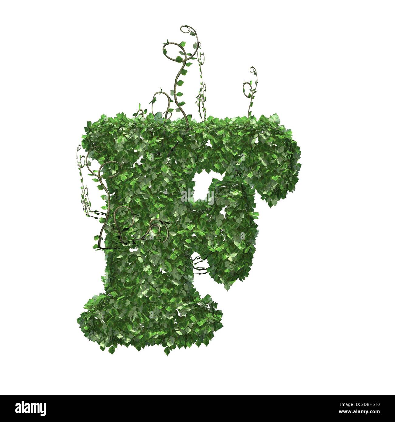 Buchstabe F aus grünen Efeublättern - isoliert auf weißem Hintergrund Stockfoto