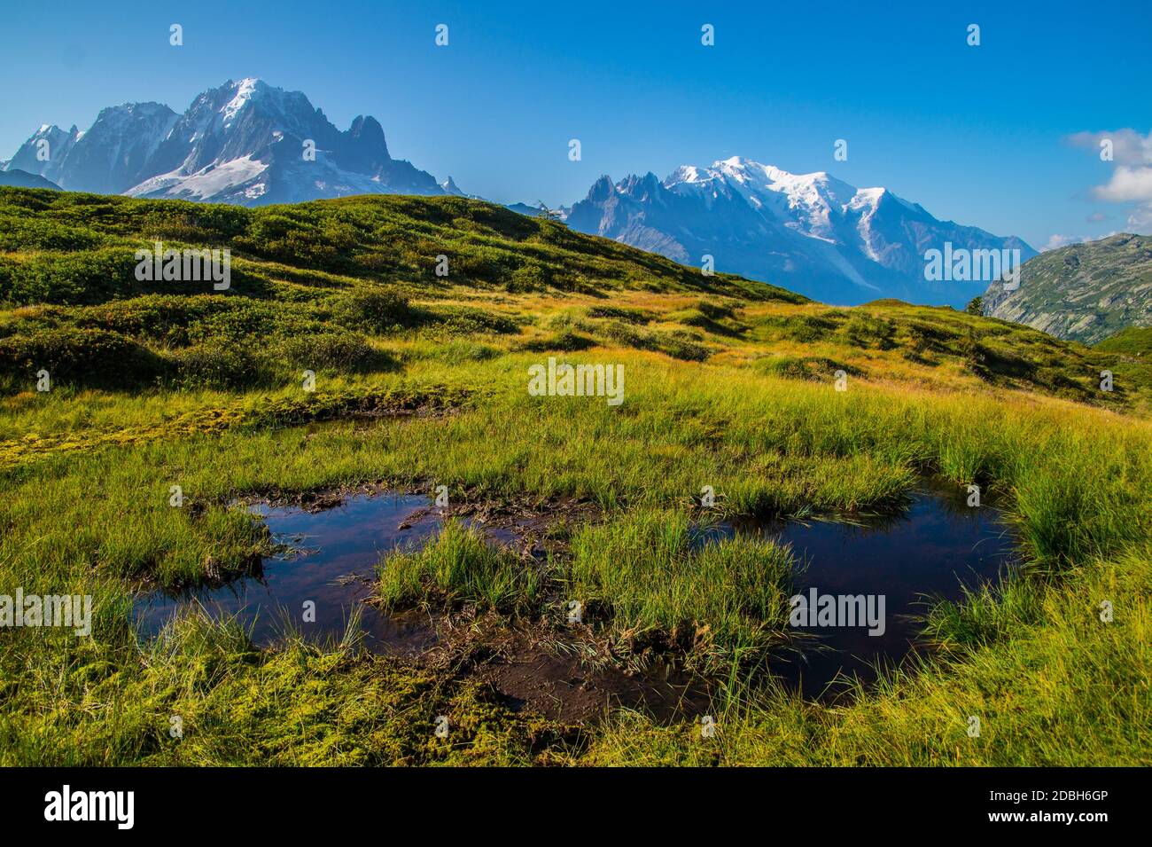 Posettesz, Chamonix, Haute Savoie, Frankreich Stockfoto