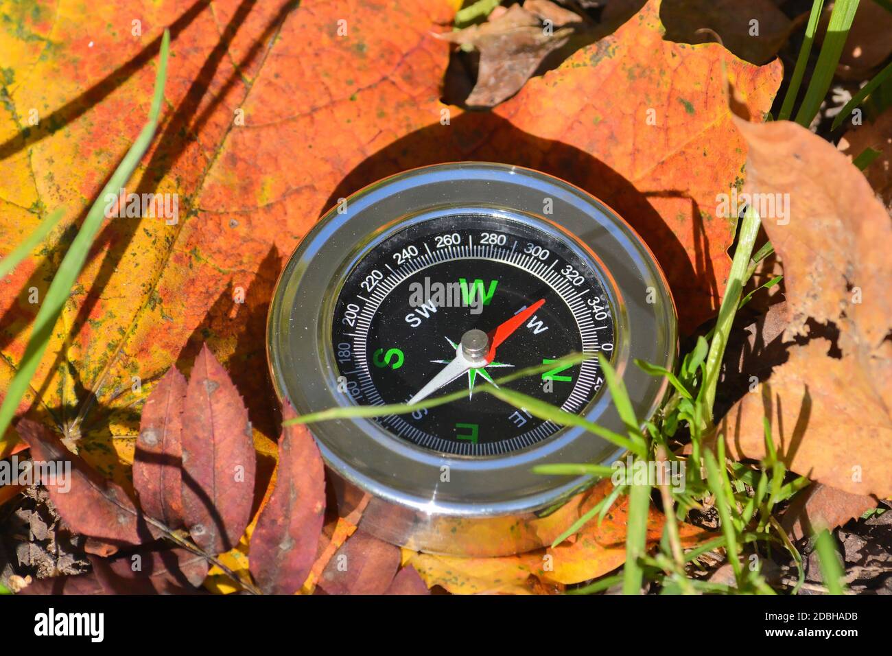 Kompass auf gefallenen Blättern. Verirren Sie sich nicht in diesem Herbst. Stockfoto