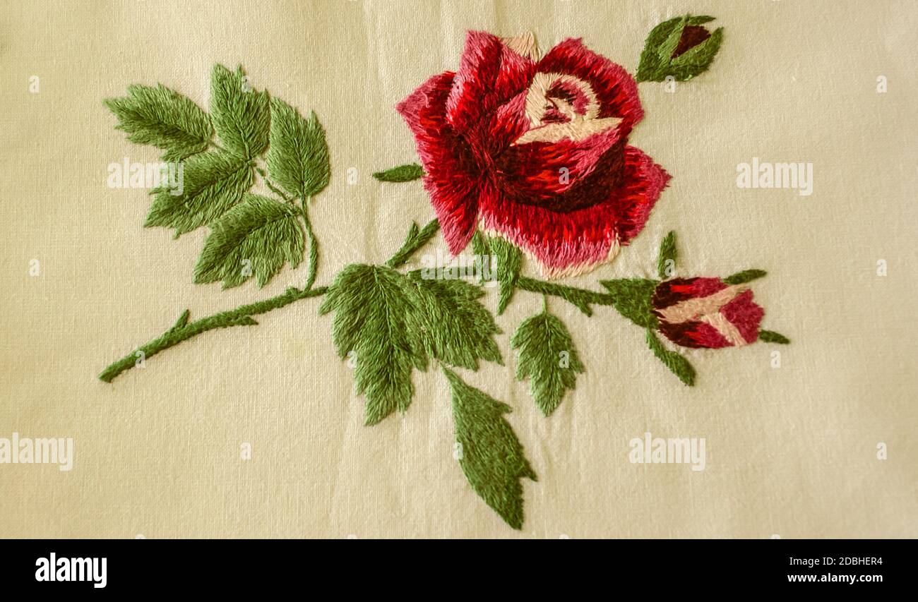Große Rosenblüte mit rot-rosa Blütenblättern auf einem Zweig Mit grünen Blättern und Knospen ist auf einem weißen gestickt Baumwollqualität Stockfoto