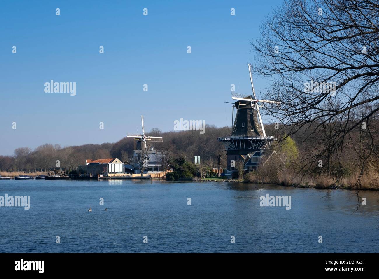 Windmühlen am Ufer des kralingse Plas in rotterdam, Niederlande Stockfoto