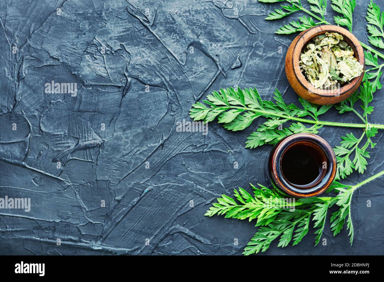 Heilende Eigenschaften von wilden Karotten in Kräutermedizin.Frische medizinische, heilende Pflanzen. Stockfoto