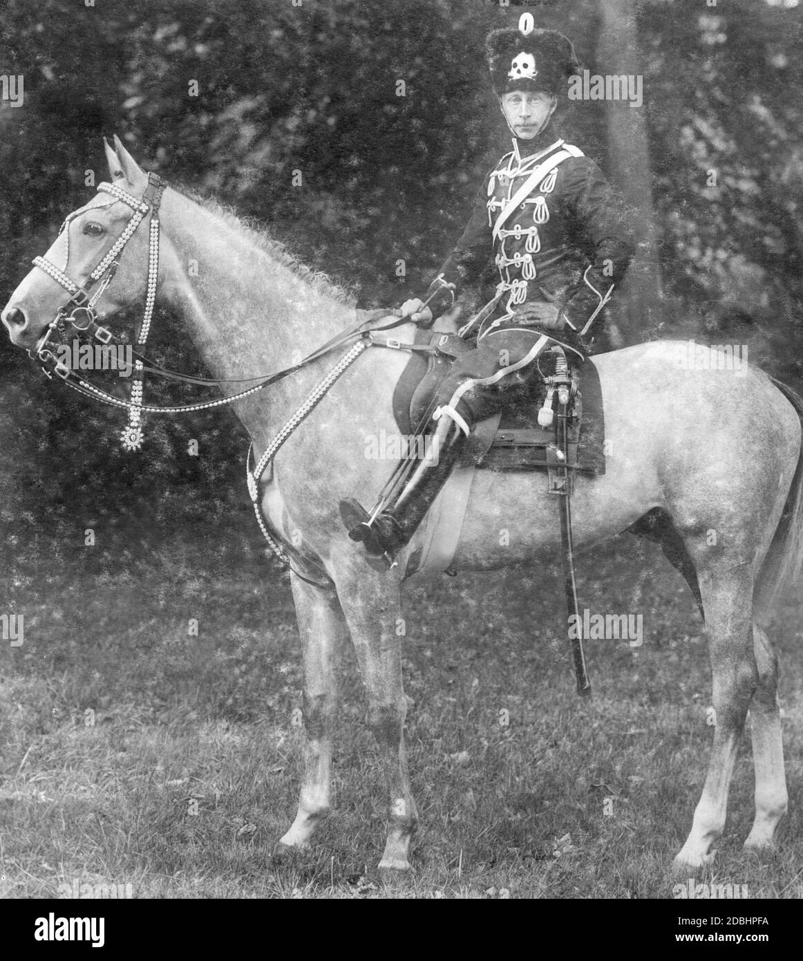 Kronprinz Wilhelm von Preußen zu seiner Zeit als Kommandant der 1. Leib-Husaren-Regiments Nr. 1 1911, fotografiert von den Hoffotografen Selle & Kuntze aus Potsdam. Stockfoto