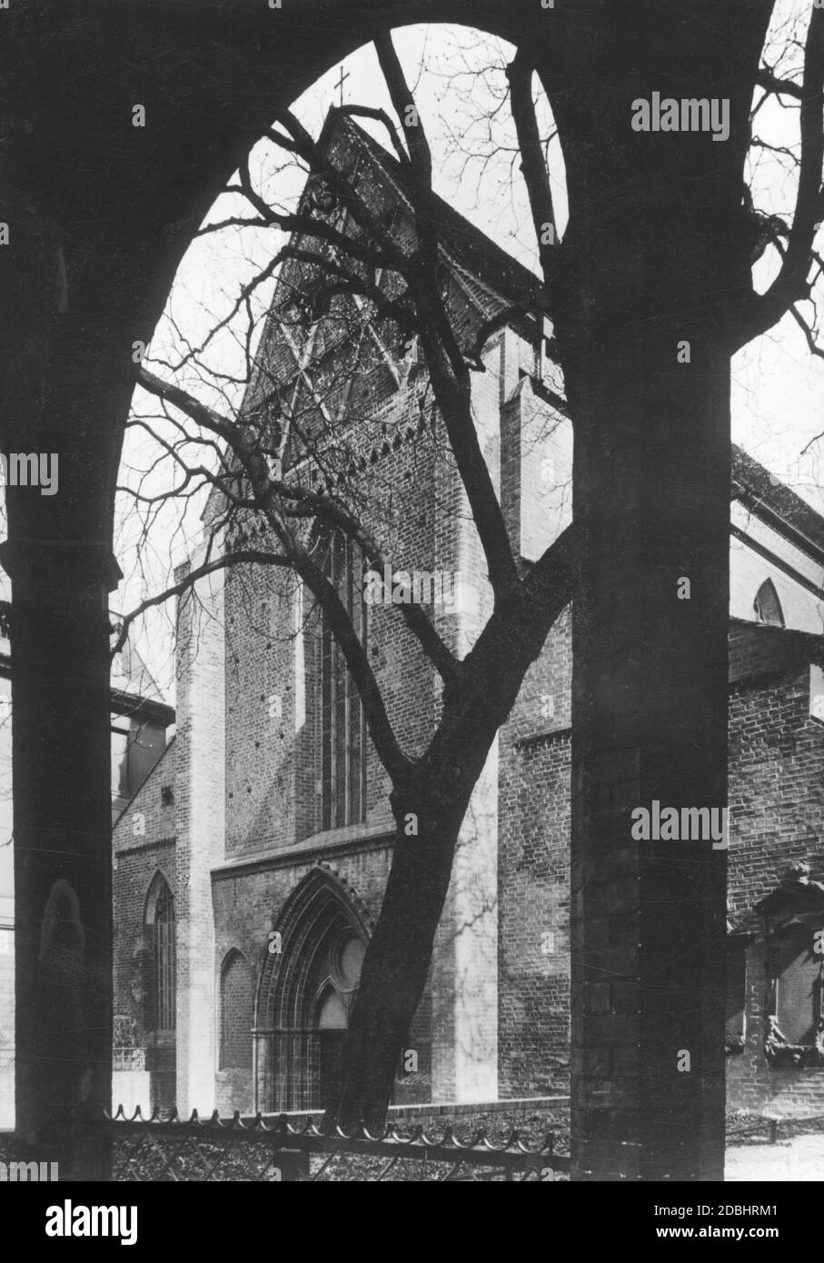 Dieses Foto, aufgenommen um 1930, zeigt die Franziskanerkirche in Berlin-Mitte vom ehemaligen Kreuzgang aus. Im Innenhof befindet sich ein Kastanienbaum. Stockfoto