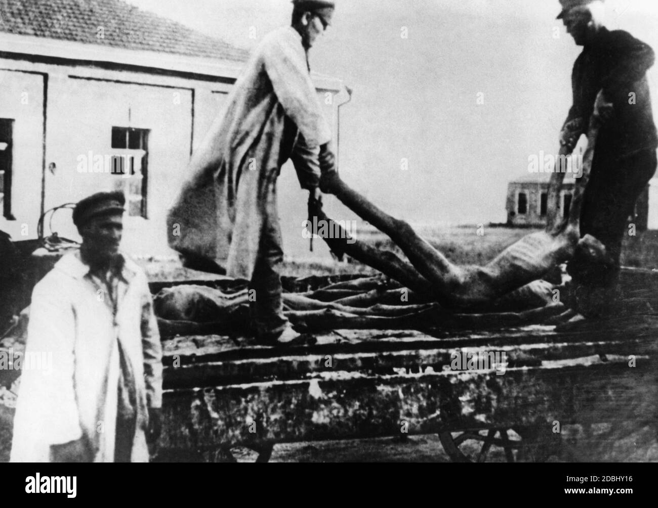 Die Beseitigung von verhungerten Bauern in der Sowjetunion während der Hungersnot von 1932/33. Stockfoto