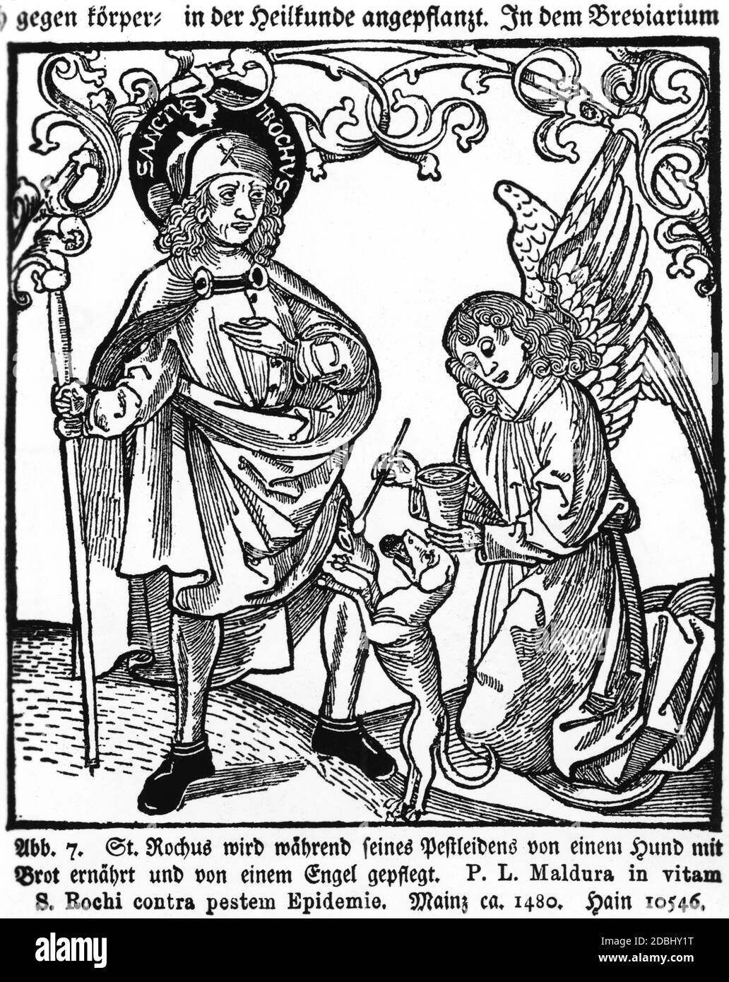 Der Heilige Rochus wird von einem Hund gefüttert, während er an der Pest erkrankt ist und von einem Engel gepflegt wird. Holzschnitt Mainz ca. 1480. Rochus lebte von 1295 bis 1327 und erkrankte 1320 an der Pest. Stockfoto