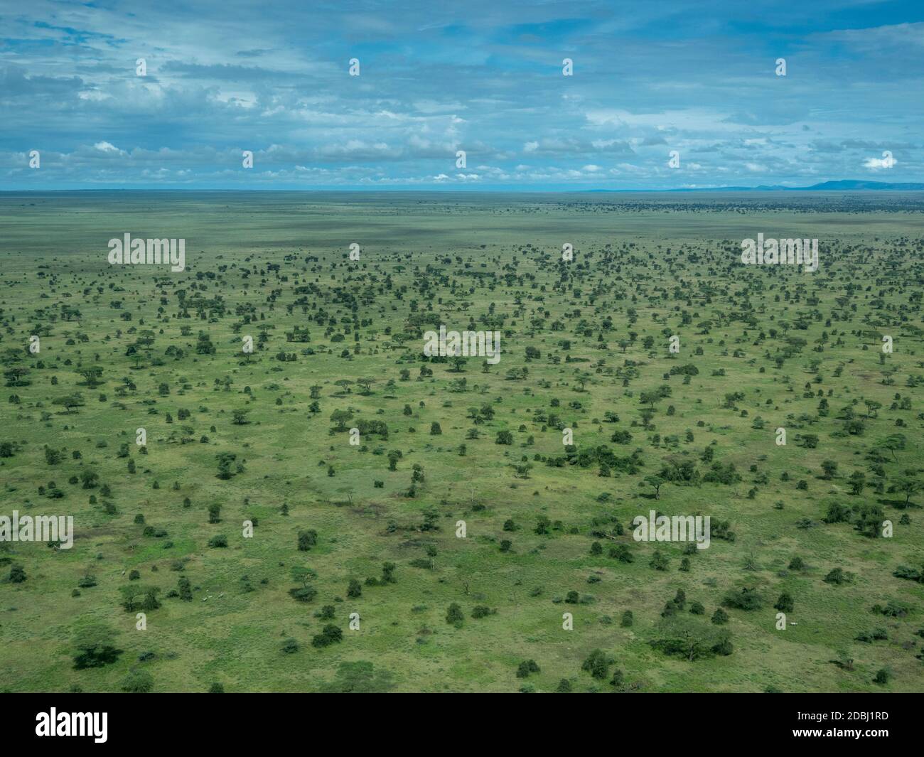 Luftaufnahme der Serengeti-Ebene, Serengeti-Nationalpark, UNESCO-Weltkulturerbe, Tansania, Ostafrika, Afrika Stockfoto