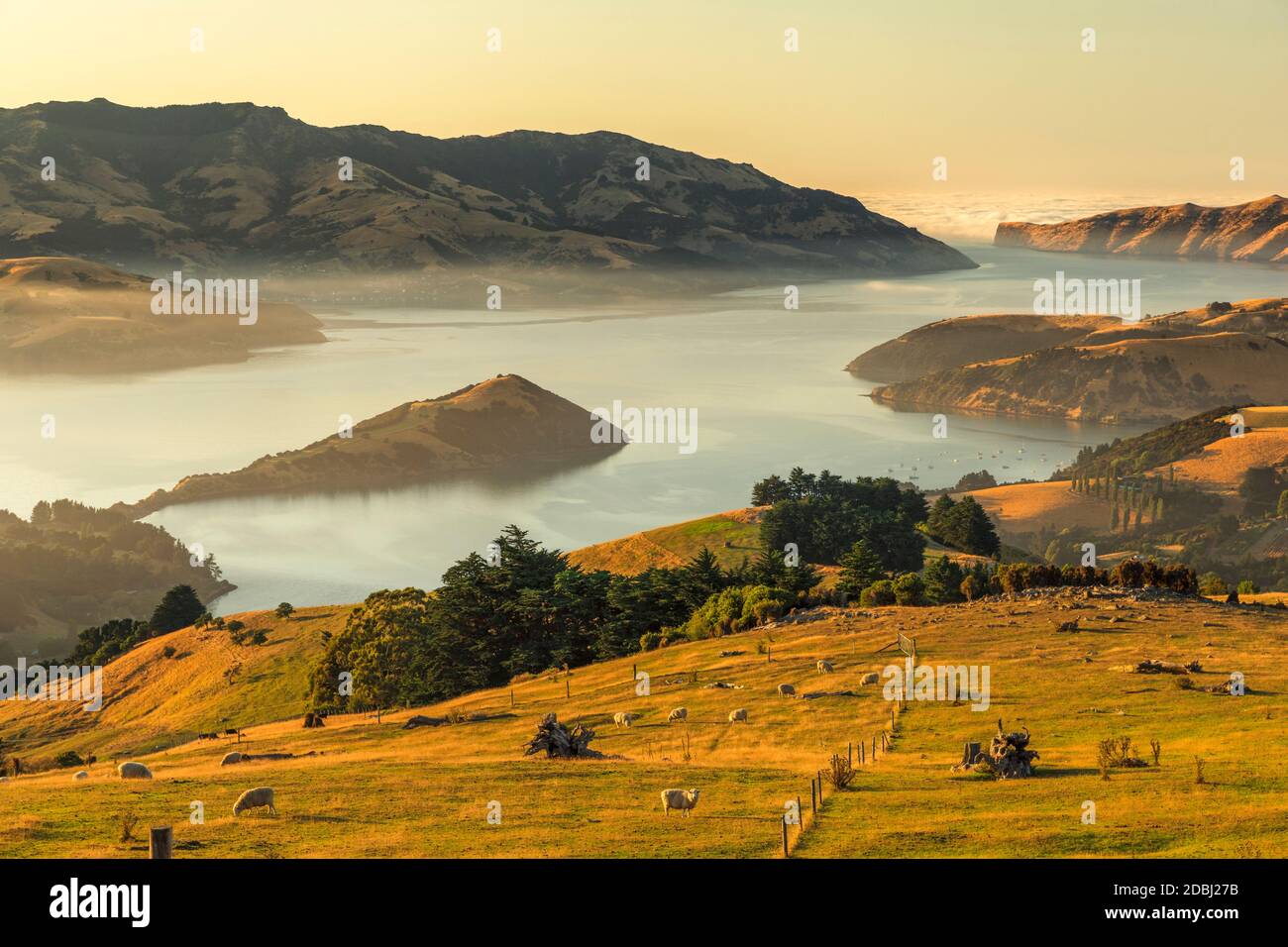 Banks Peninsula bei Sonnenaufgang, Canterbury, Südinsel, Neuseeland, Pazifik Stockfoto