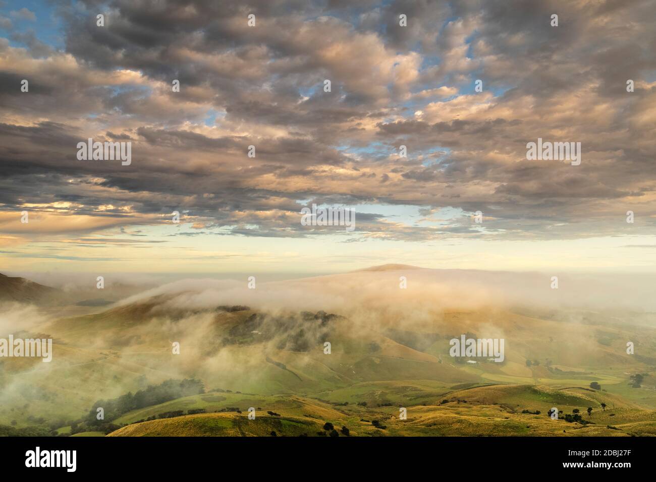 Otago Peninsula, Dunedin, Otago, Südinsel, Neuseeland, Pazifik Stockfoto